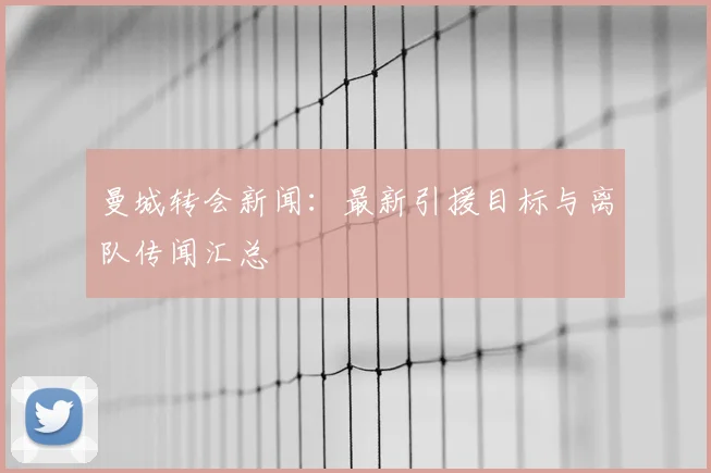 曼城转会新闻:最新引援目标与离队传闻汇总