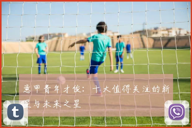 意甲青年才俊:十大值得关注的新星与未来之星